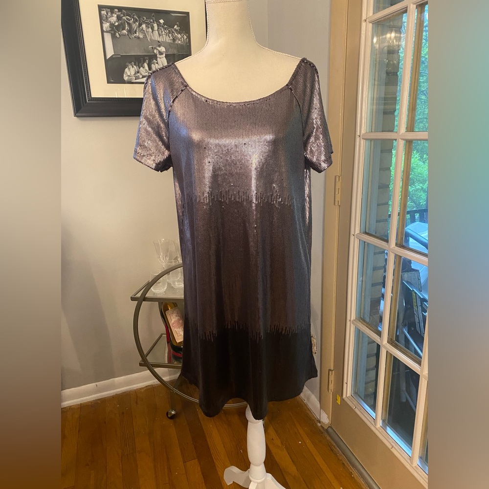 Free People Shimmering Metallic Dress size S/P can fit up to medium